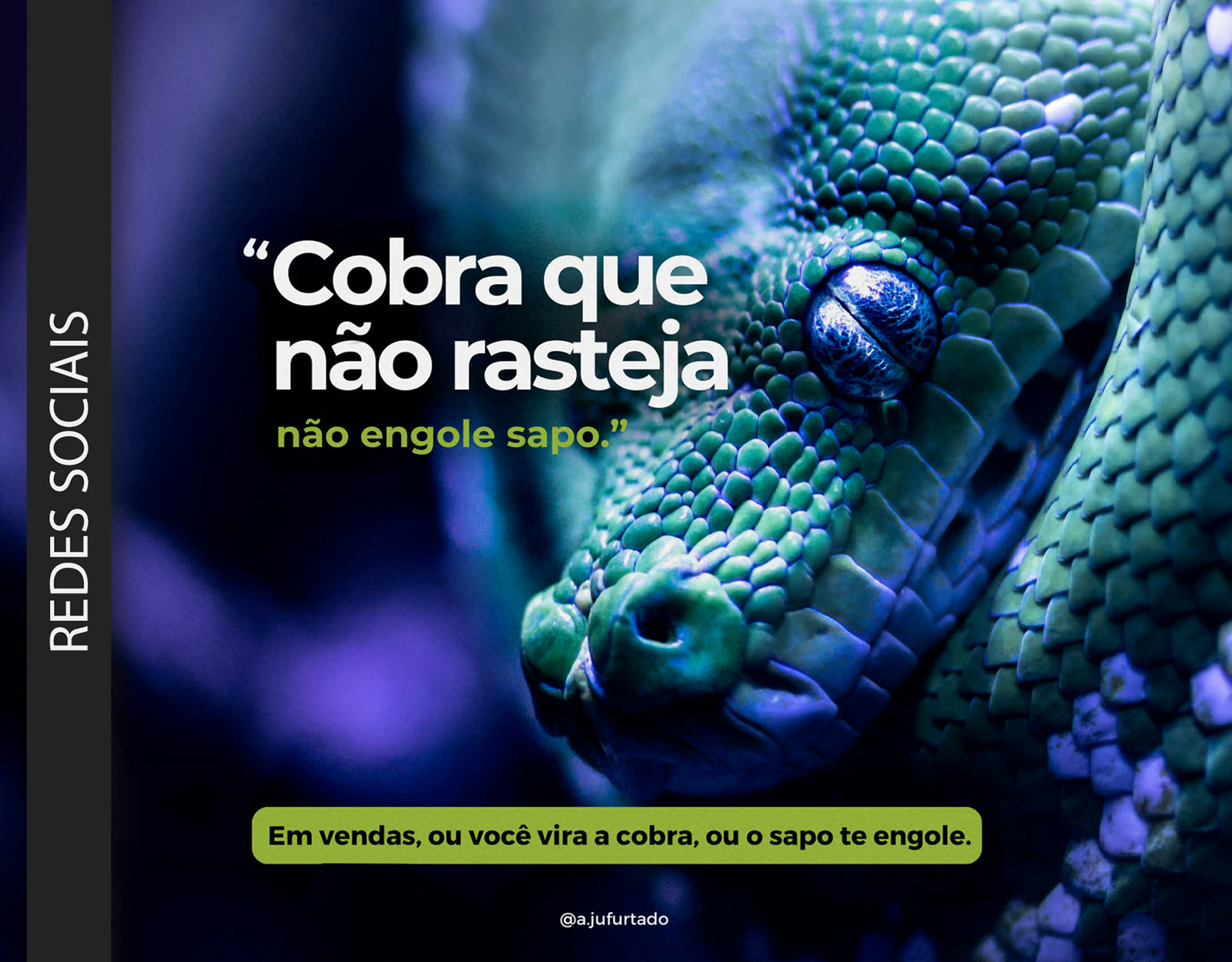 Social Media — Ju Furtado — Comunicação
